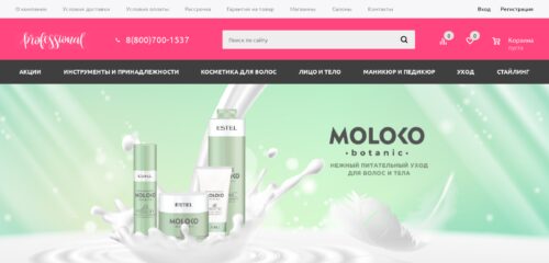 Скриншот настольной версии сайта professionalu.ru