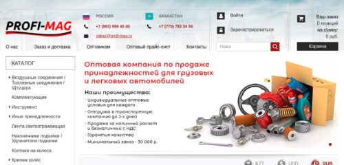 Скриншот настольной версии сайта profi-mag.ru