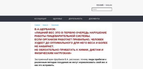 Скриншот настольной версии сайта promrstik.ru