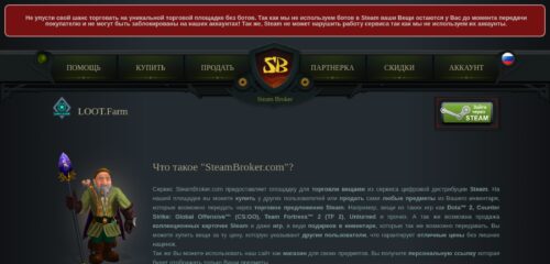 Скриншот настольной версии сайта ru.steambroker.com