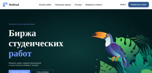 Скриншот настольной версии сайта rustud.com