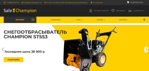 Скриншот настольной версии сайта sale-champion.ru