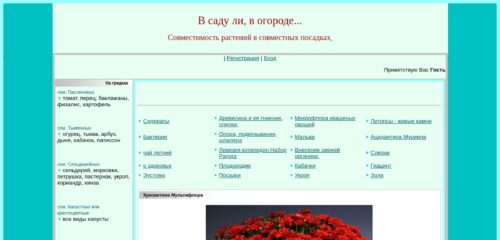 Скриншот настольной версии сайта sas.ucoz.club