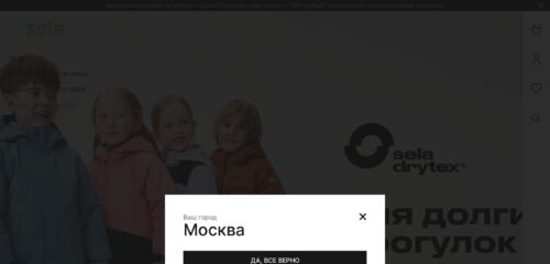 Скриншот настольной версии сайта sela.ru