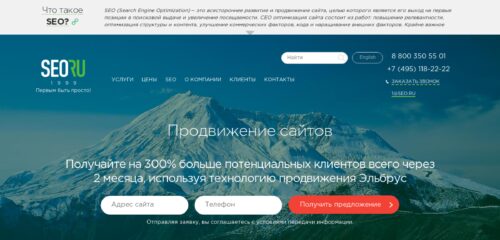 Скриншот настольной версии сайта seo.ru