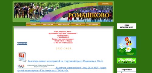Скриншот настольной версии сайта sk-romashkovo.ru