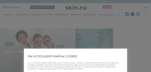 Скриншот настольной версии сайта skin.ru