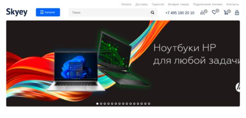 Скриншот настольной версии сайта skyey.ru