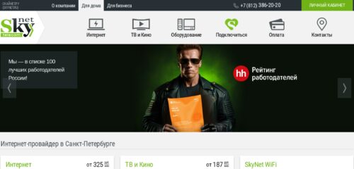 Скриншот настольной версии сайта skynet.ru
