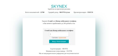 Скриншот настольной версии сайта skynex.website