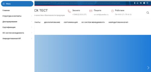 Скриншот настольной версии сайта smoltest.ru