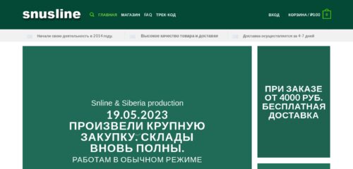 Скриншот настольной версии сайта snline24.ru