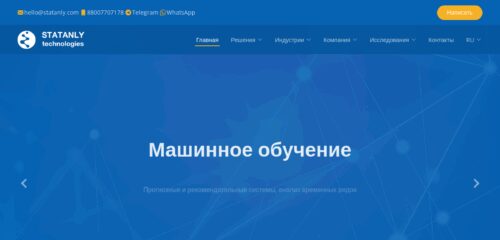 Скриншот настольной версии сайта statanly.com