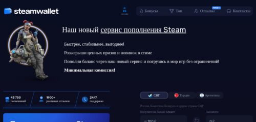 Скриншот настольной версии сайта steamwallet.ru