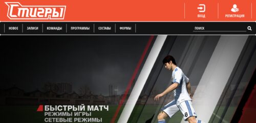 Скриншот настольной версии сайта stigry.ru