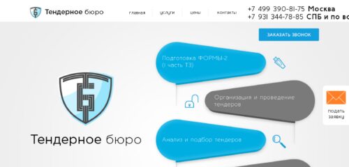 Скриншот настольной версии сайта tenderburo.ru