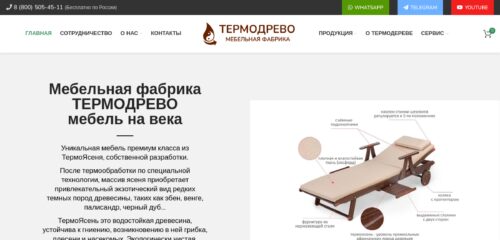 Скриншот настольной версии сайта termodrevo.ru
