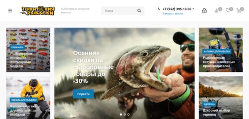 Скриншот настольной версии сайта terrib.ru