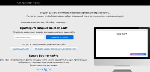 Скриншот настольной версии сайта tg.ru