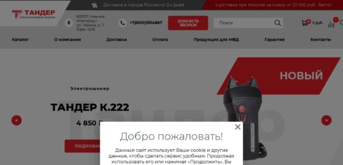 Скриншот настольной версии сайта thunder-shok.ru