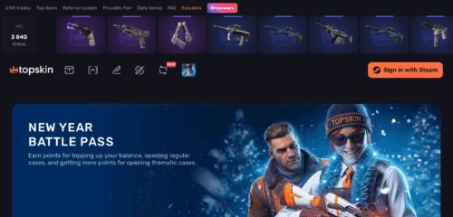 Скриншот настольной версии сайта topskin.cc