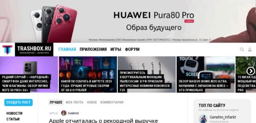 Скриншот настольной версии сайта trashbox.ru
