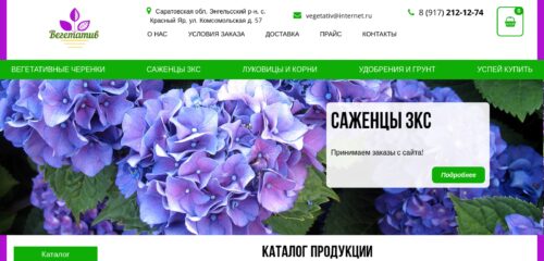 Скриншот настольной версии сайта vegetativ.ru