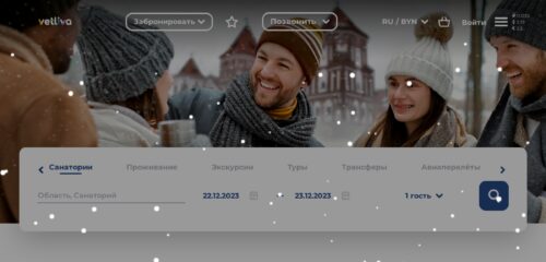Скриншот настольной версии сайта vetliva.ru