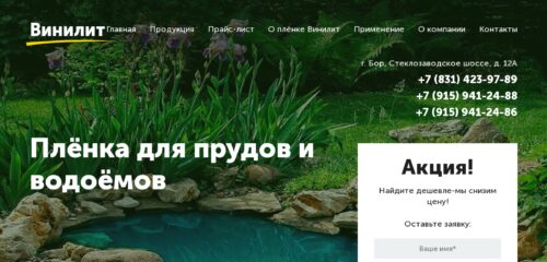 Скриншот настольной версии сайта vinilit.ru