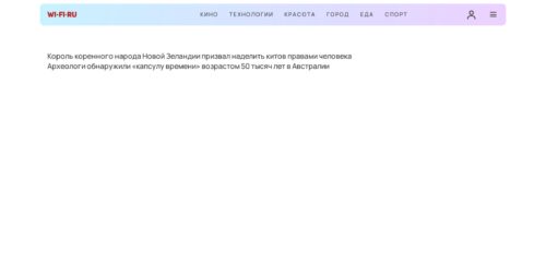 Скриншот настольной версии сайта wi-fi.ru