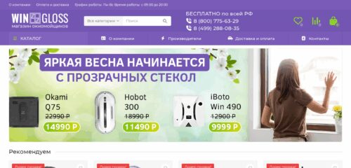 Скриншот настольной версии сайта wingloss.ru