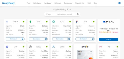 Скриншот настольной версии сайта woolypooly.com