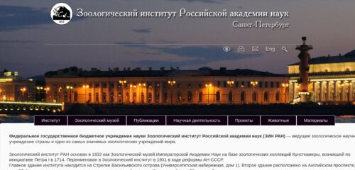 Скриншот настольной версии сайта zin.ru