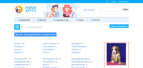 Скриншот настольной версии сайта zooya.ru