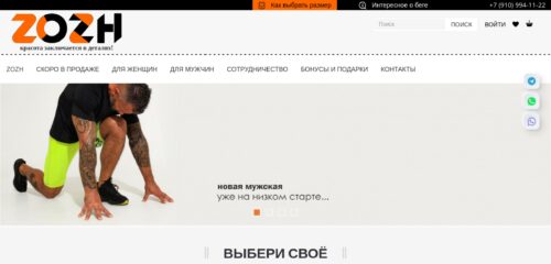 Скриншот настольной версии сайта zozh-shop.ru