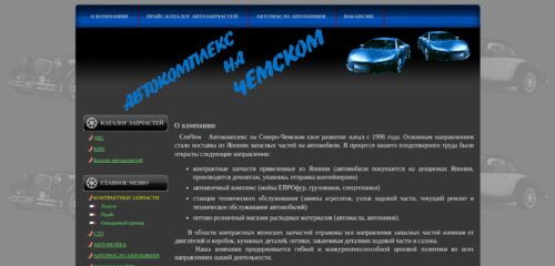 Скриншот настольной версии сайта разбор54.рф